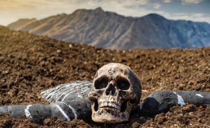 Firefly-soil-body-dead-3125